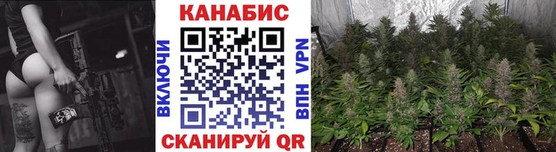 Цена Камышлов Гашиш  Alpha PVP  МЕФ  МАРИХУАНА  КОКАИН 