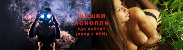 СК Волоколамск