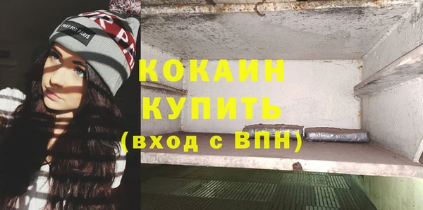 СК Волоколамск