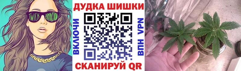 Каннабис OG Kush  наркошоп  Камышлов 